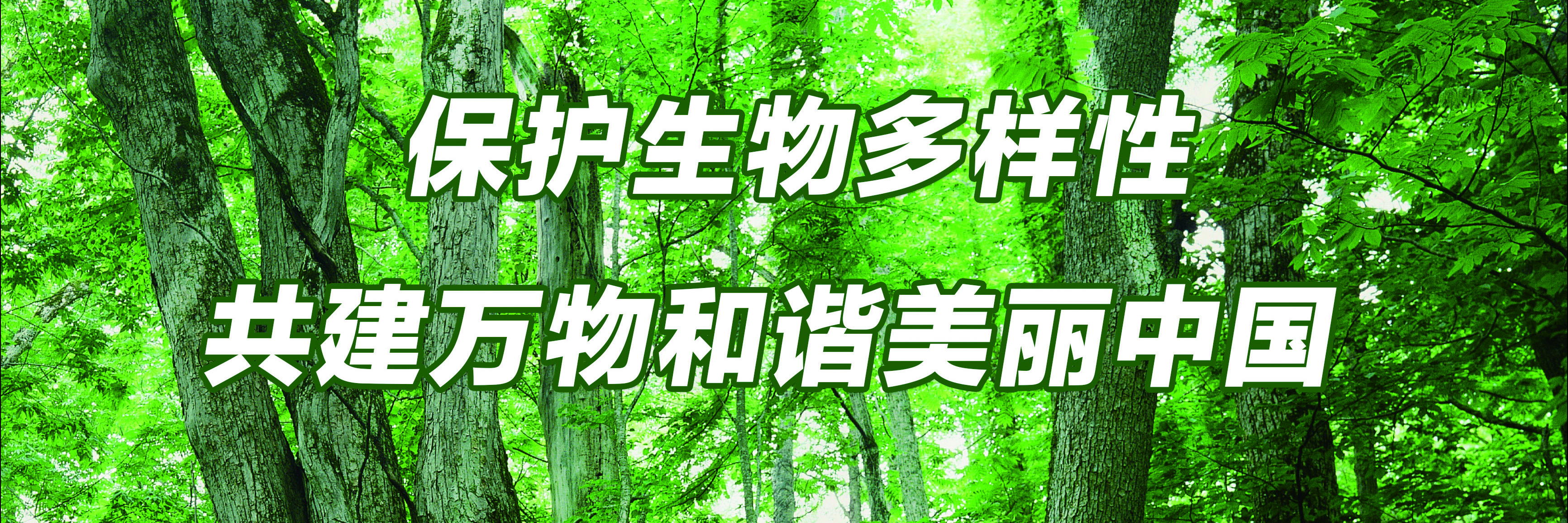 保护生物多样性